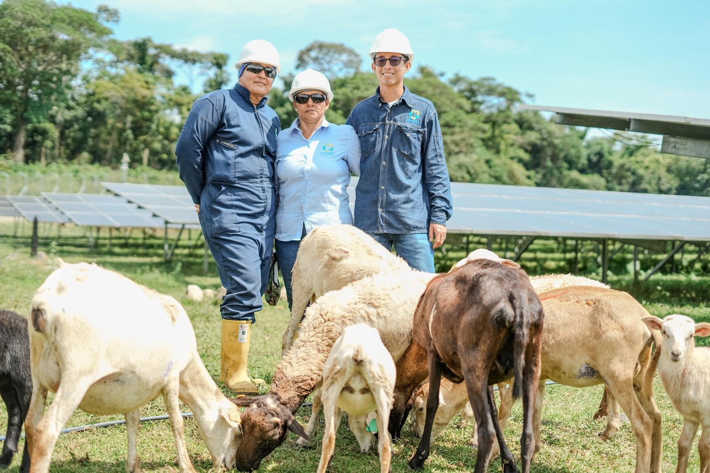 Asociados de ASODEC Castilla en un parque solar