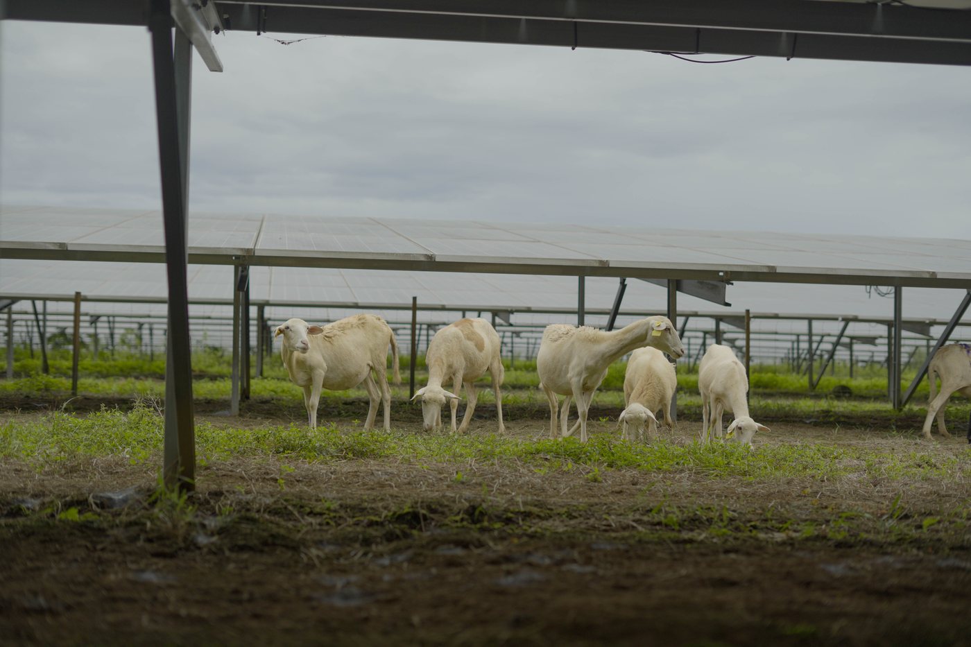 Personal de ASODEC realizando trabajo de campo